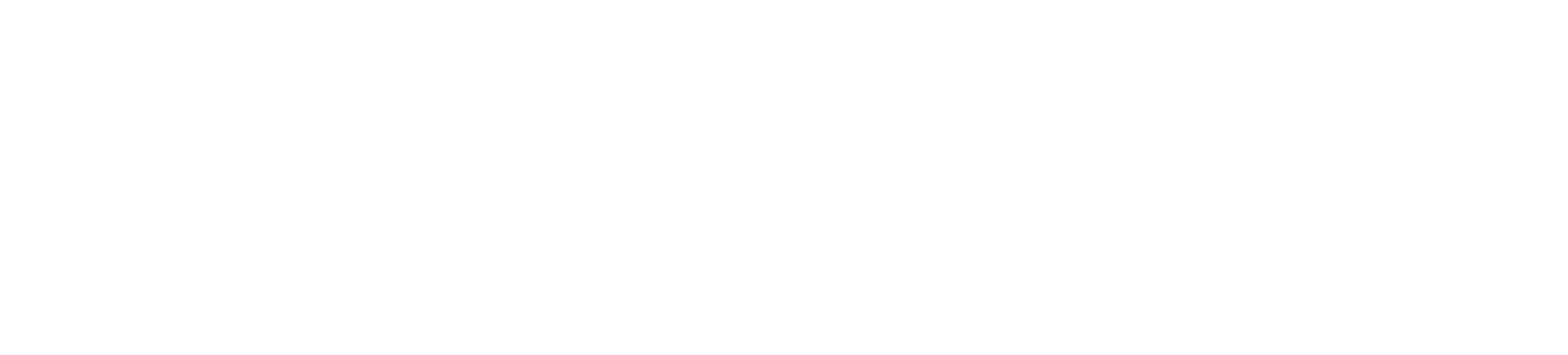 Prosix sports